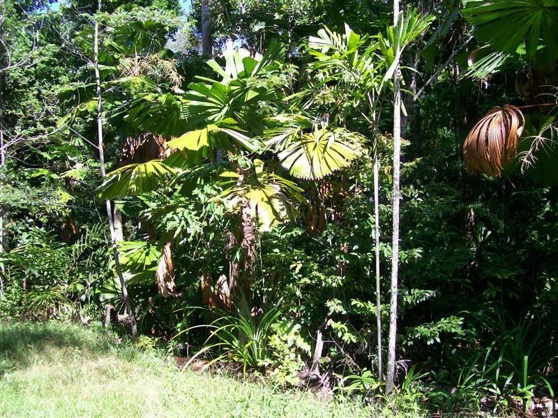 Lot 67 Greendale Court, Jubilee Heights, Innisfail QLD 4860