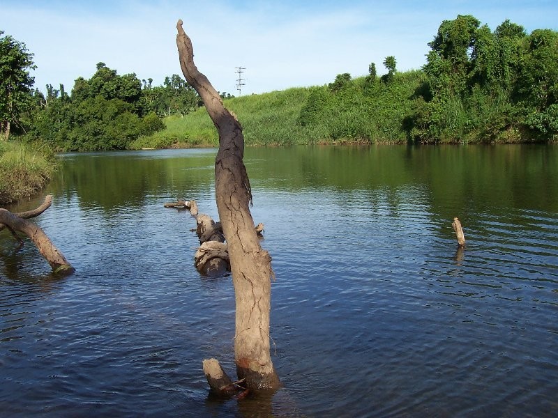 1107 Palmerston Highway, Innisfail QLD 4860