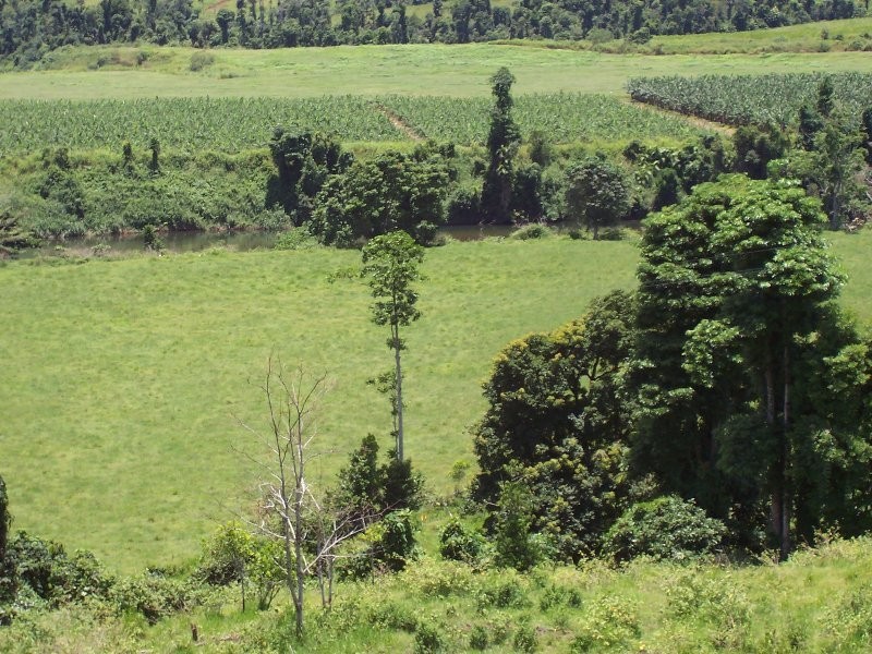 1107 Palmerston Highway, Innisfail QLD 4860