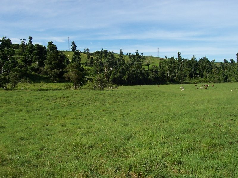 1107 Palmerston Highway, Innisfail QLD 4860