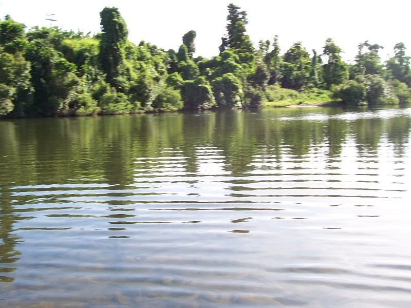 1107 Palmerston Highway, Innisfail QLD 4860