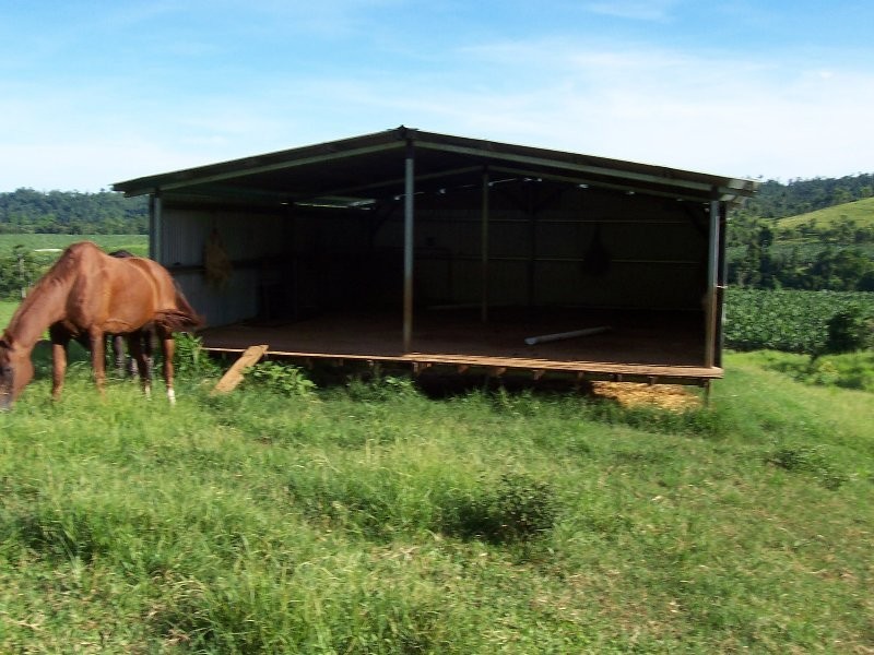 1107 Palmerston Highway, Innisfail QLD 4860