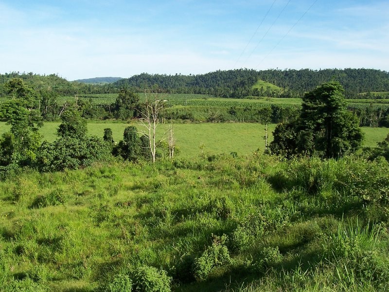 1107 Palmerston Highway, Innisfail QLD 4860