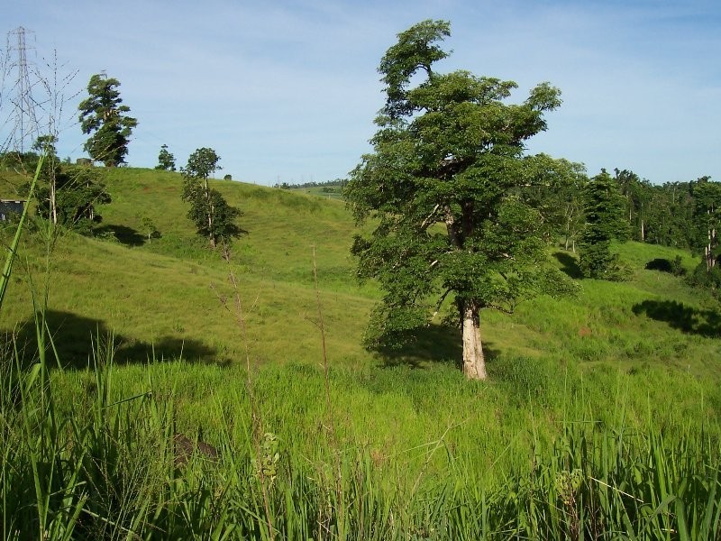 1107 Palmerston Highway, Innisfail QLD 4860