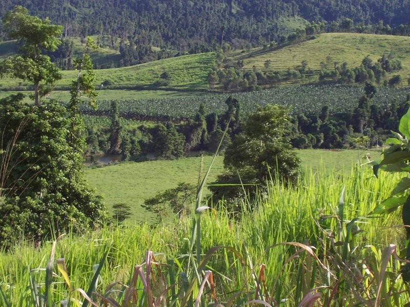 1107 Palmerston Highway, Innisfail QLD 4860