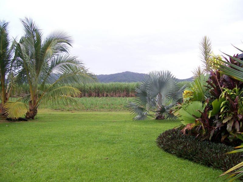 27 Moresby Road, Moresby, Innisfail QLD 4860