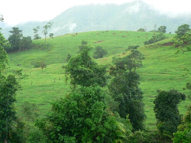 Utchee Creek QLD 4871