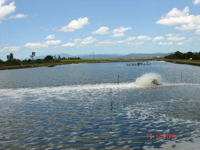 Mourilyan Harbour QLD 4858