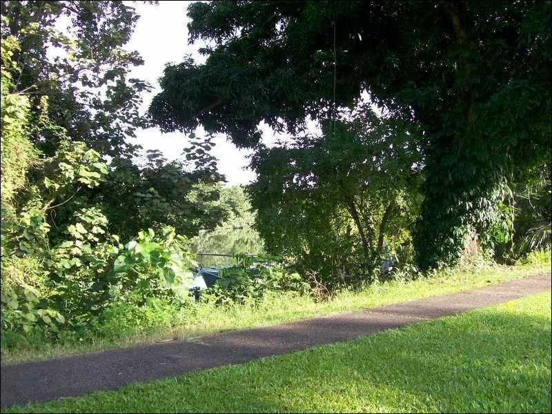 55 Coronation Drive, Innisfail QLD 4860