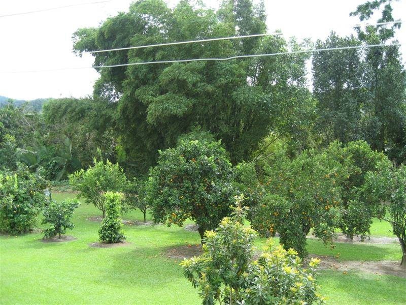 102 Warrakin Road, Japoonvale QLD 4856