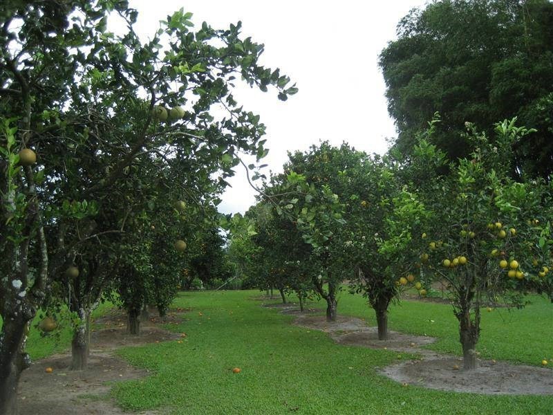 102 Warrakin Road, Japoonvale QLD 4856