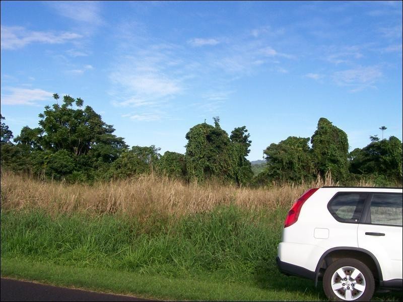 Utchee Creek QLD 4871