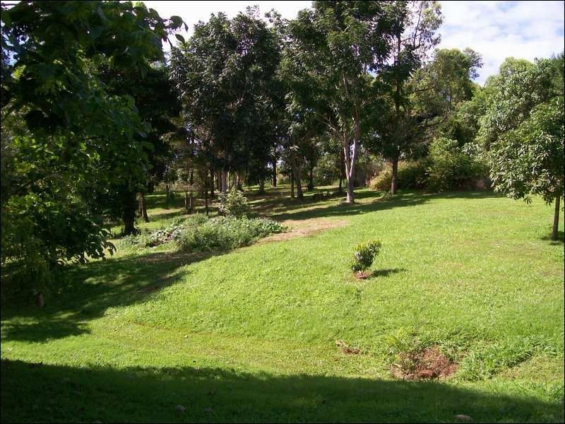 East Palmerston QLD 4860