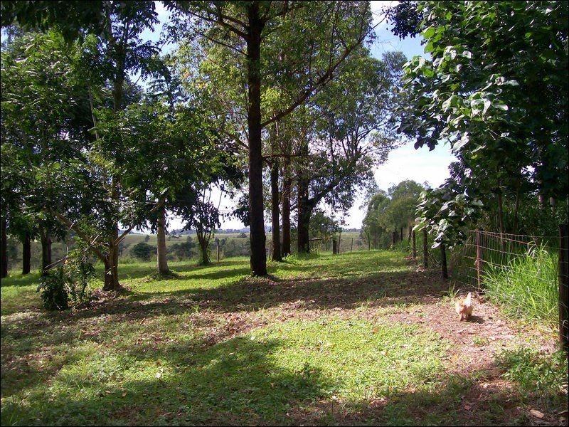 East Palmerston QLD 4860