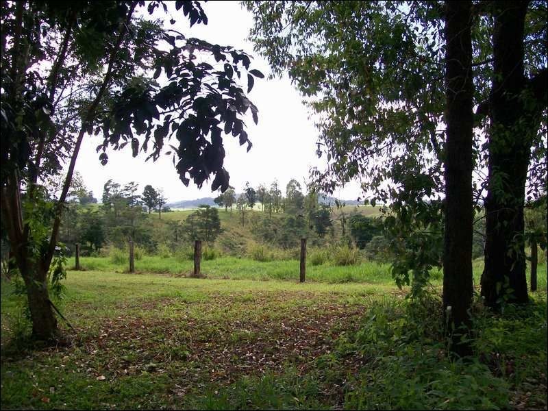 East Palmerston QLD 4860