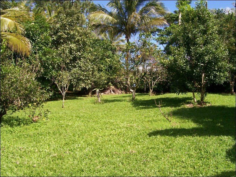 East Palmerston QLD 4860