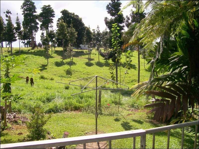 East Palmerston QLD 4860