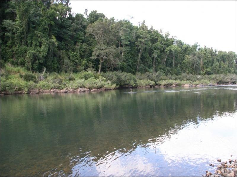 Acreage lots Quondong Road, Nerada QLD 4860