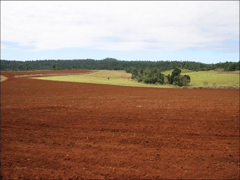 Acreage lots Quondong Road, Nerada QLD 4860