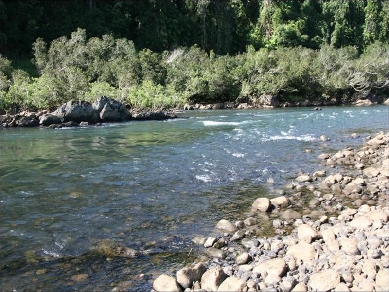 Acreage lots Quondong Road, Nerada QLD 4860