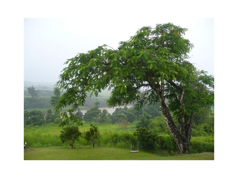 Innisfail QLD 4860