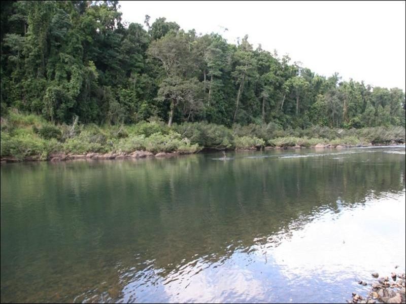 Acreage Lots Quondong Road, Innisfail QLD 4860