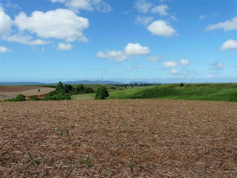 Lot 10 Mizzi Road, South Johnstone QLD 4859