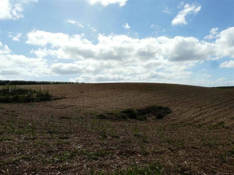 Lot 10 Mizzi Road, South Johnstone QLD 4859