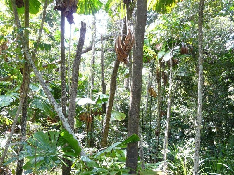 28 Waterfall Place, Jubilee Heights QLD 4860