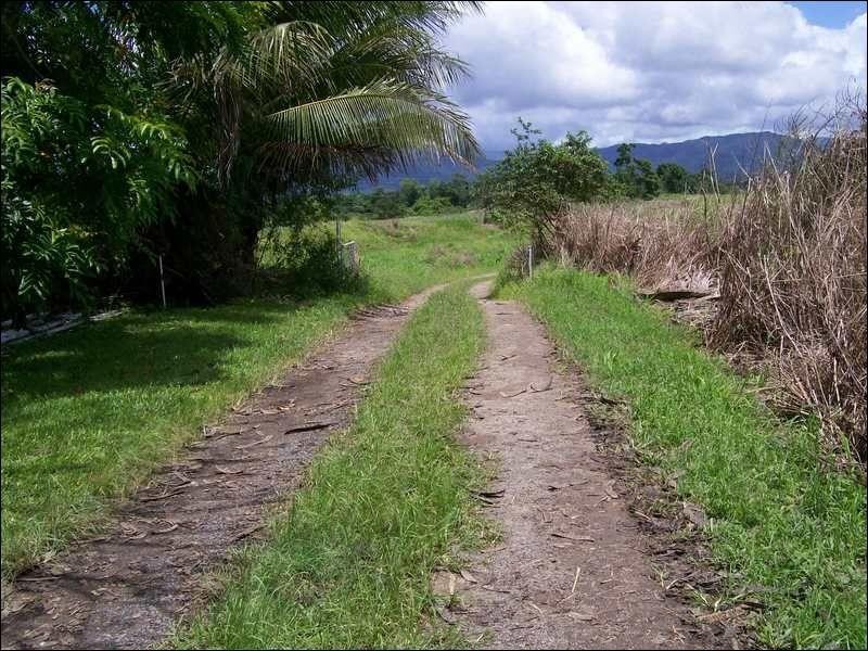 12 McRobbie Road, Silkwood QLD 4856