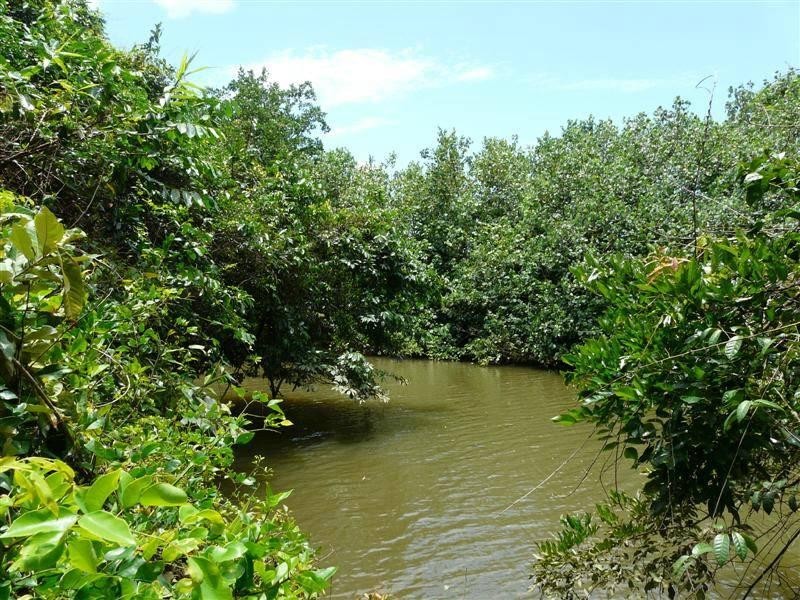 Lot 1 Downing Street, Innisfail QLD 4860