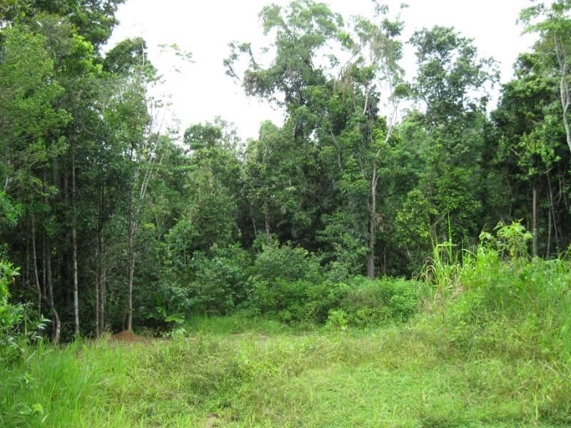 19 Rainforest Drive, Jubilee Heights, Innisfail QLD 4860