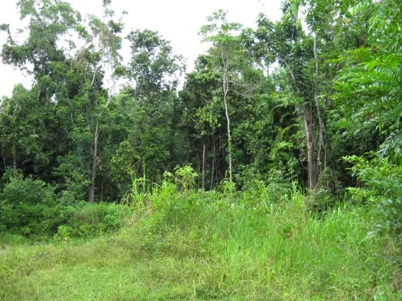 19 Rainforest Drive, Jubilee Heights, Innisfail QLD 4860