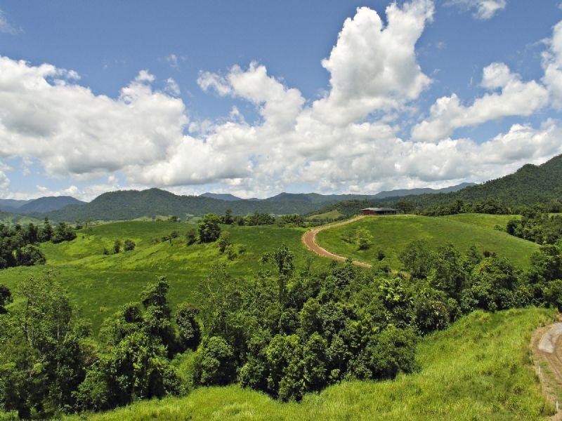 527 Donkin Road, Mena Creek, Innisfail QLD 4860