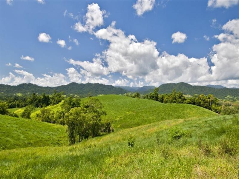 527 Donkin Road, Mena Creek, Innisfail QLD 4860