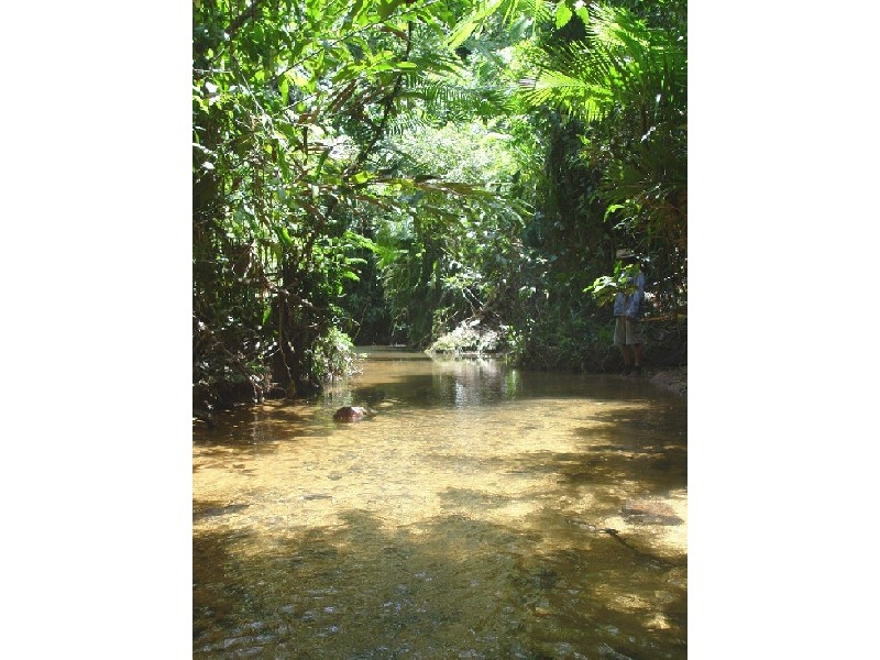 Lot 4 Woopen Creek, Innisfail QLD 4860