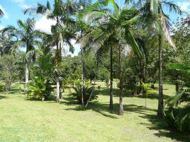 411 Dinner Creek Road, Garradunga QLD 4860