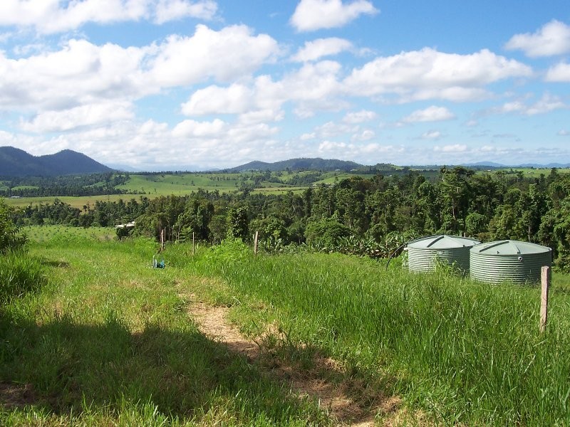 541 Mena Creek Road, Innisfail QLD 4860