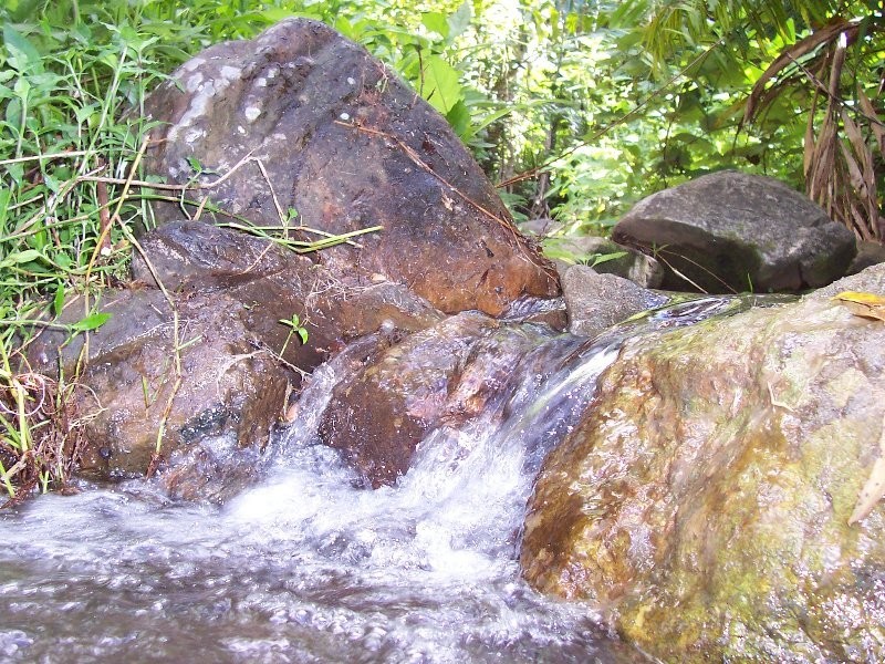 541 Mena Creek Road, Innisfail QLD 4860