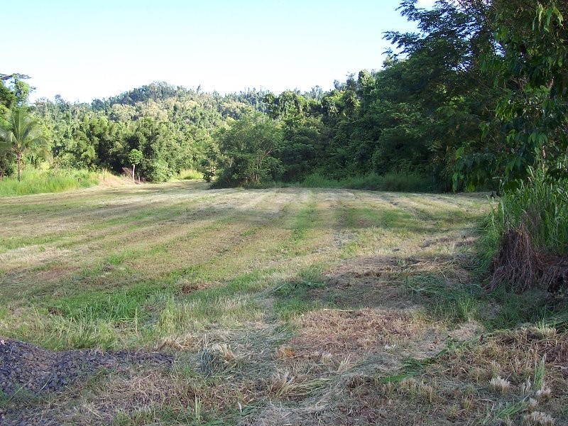 541 Mena Creek Road, Innisfail QLD 4860