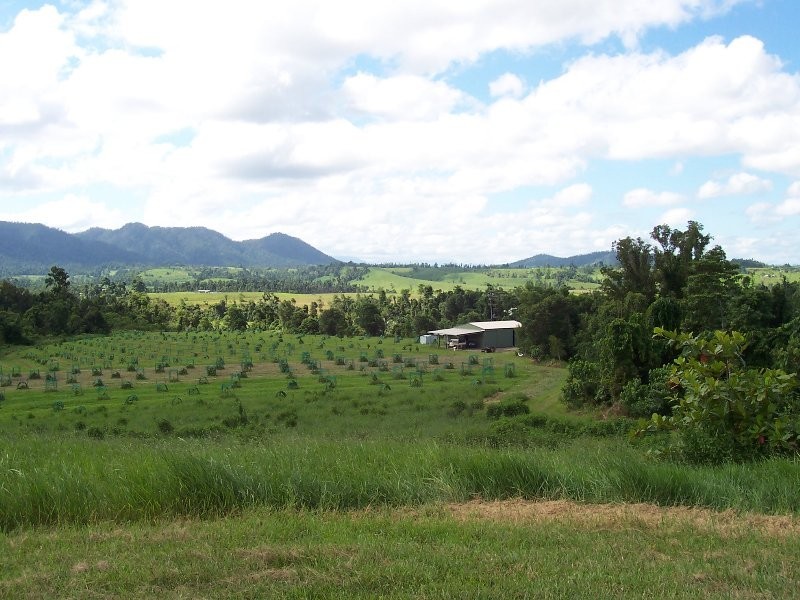 541 Mena Creek Road, Innisfail QLD 4860