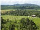 541 Mena Creek Road, Innisfail QLD 4860