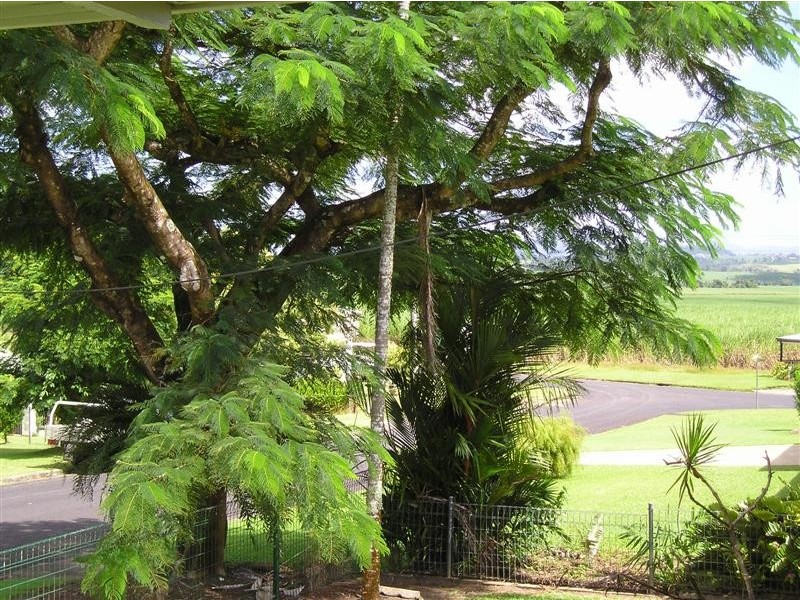 14 Pindar Street, Hudson QLD 4860