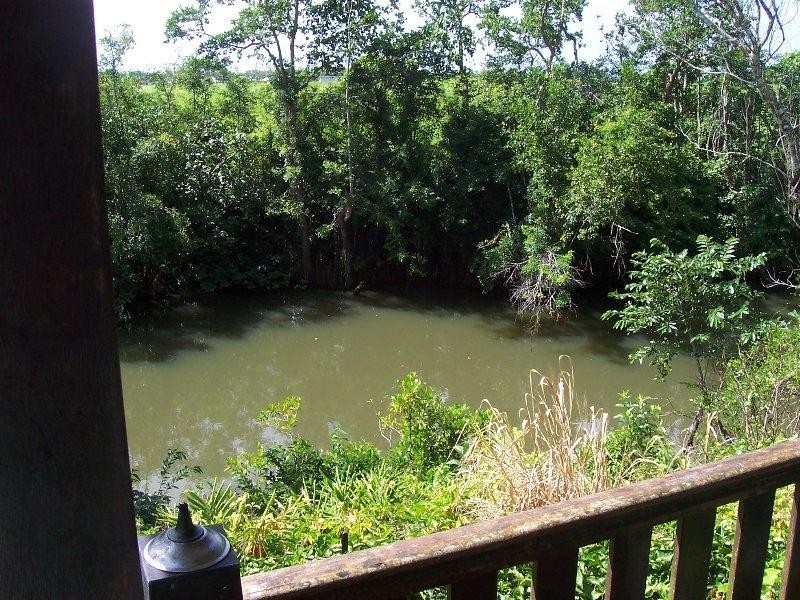 12 Kookaburra Close, Innisfail QLD 4860