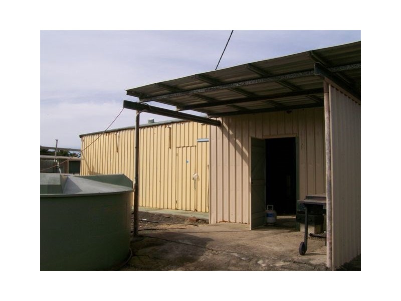 295 Cowley Beach Road, Innisfail QLD 4860