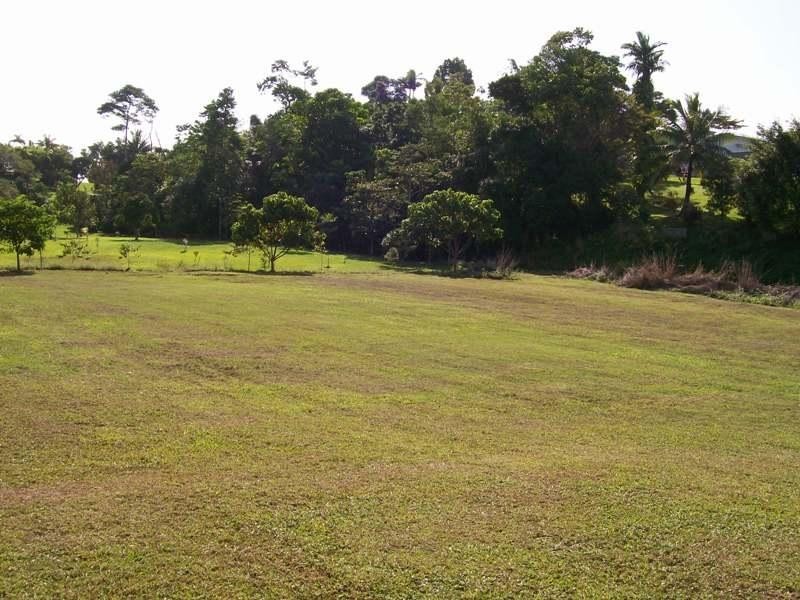 30 Cahill Street, Innisfail QLD 4860