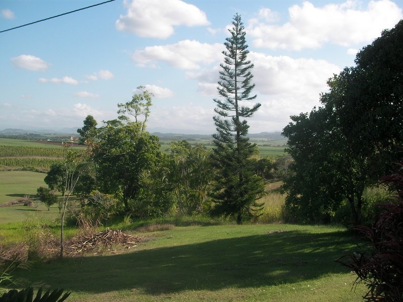 38 Brischetto Drive, Garradunga, Innisfail QLD 4860