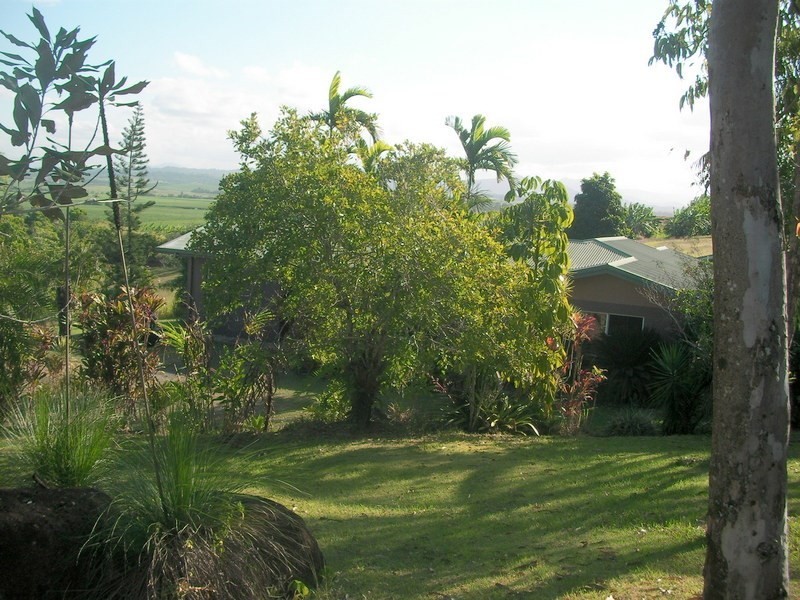 38 Brischetto Drive, Garradunga, Innisfail QLD 4860