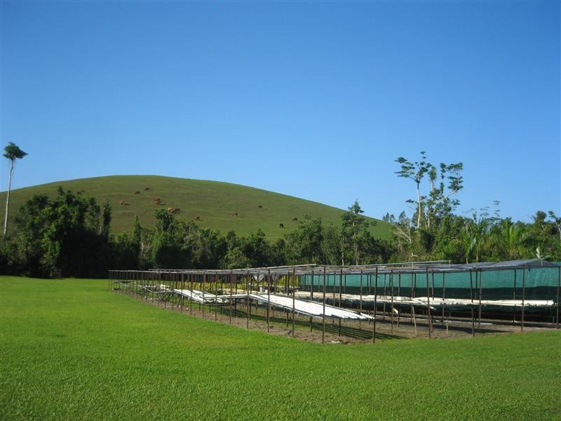 293 Utchee Creek Road, Mena Creek QLD 4871