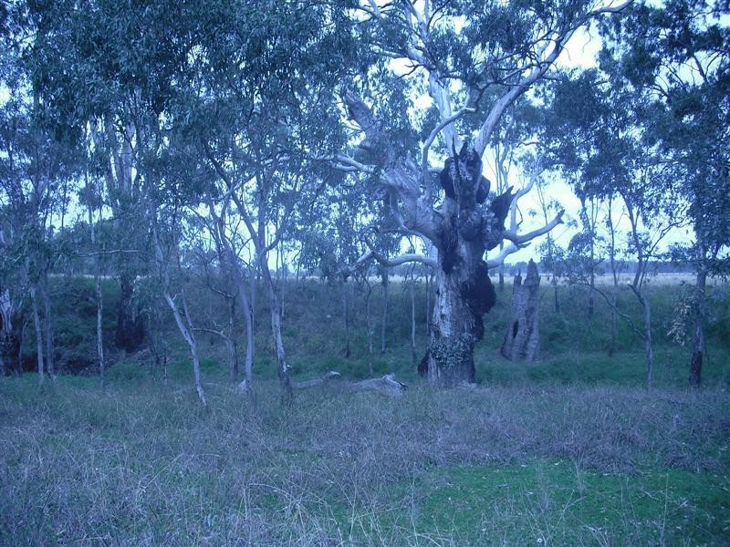 L182 and L1 Condamine River Road, Pratten QLD 4370